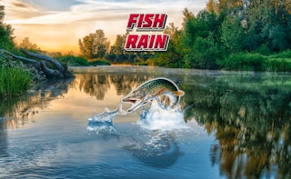 Image Fish Rain